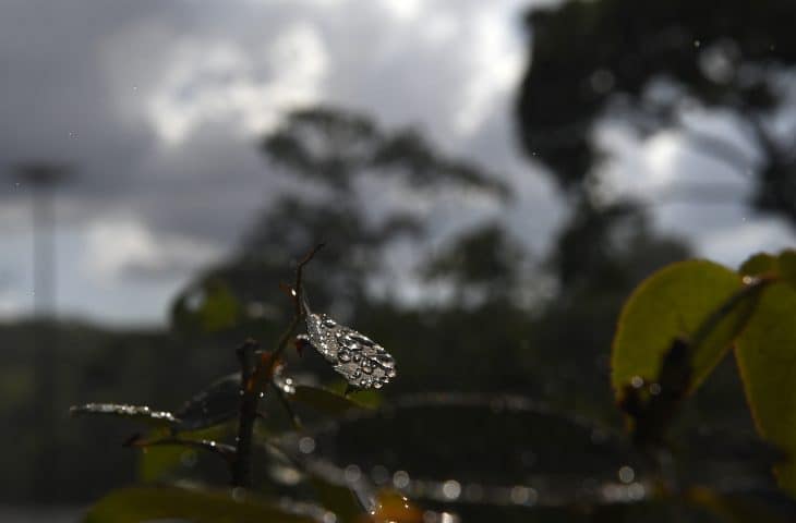 Previsão é de quinta-feira com manhã de sol e tarde de chuva em MS