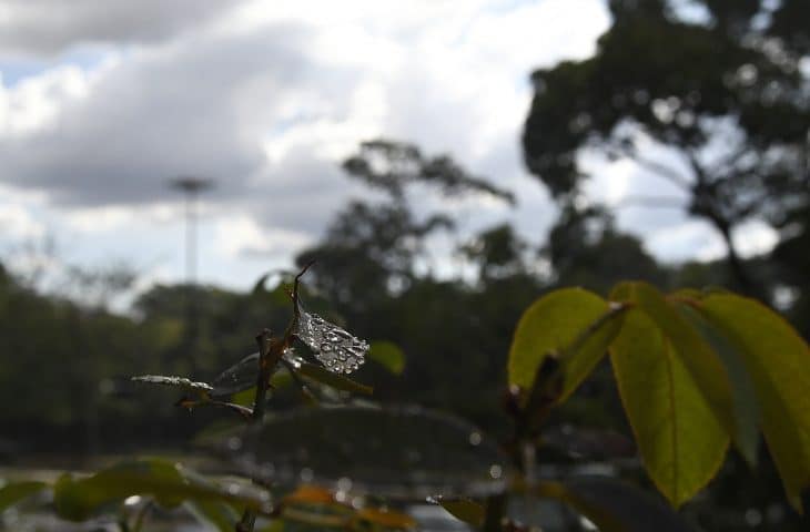 Domingo nublado com pancadas de chuva isoladas no Estado