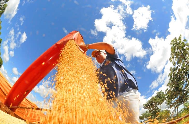 Força do Agro: produção agrícola total do Estado deverá superar os 106,5 milhões de toneladas neste ano
