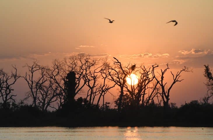 Pantanal Tempo Foto Bruno Rezende 15 730x480 1