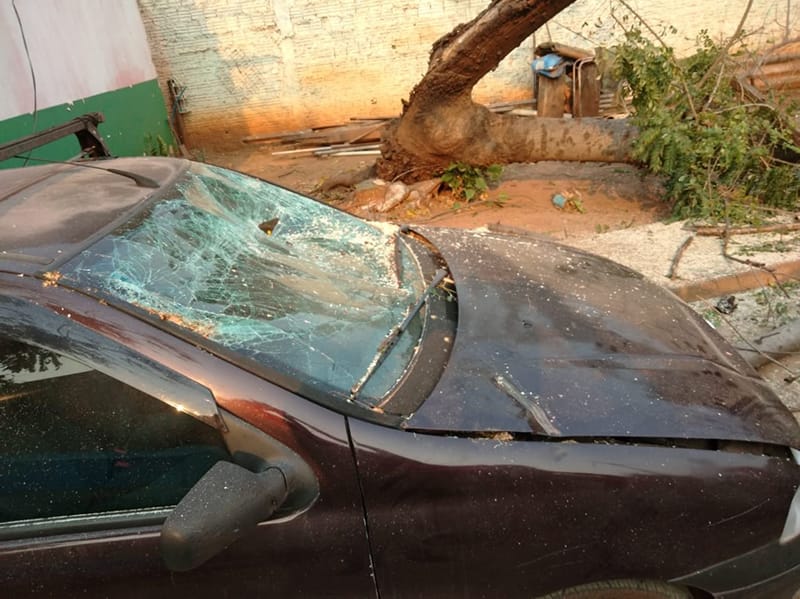 Árvore cai sobre carro em garagem de casa no Popular Nova