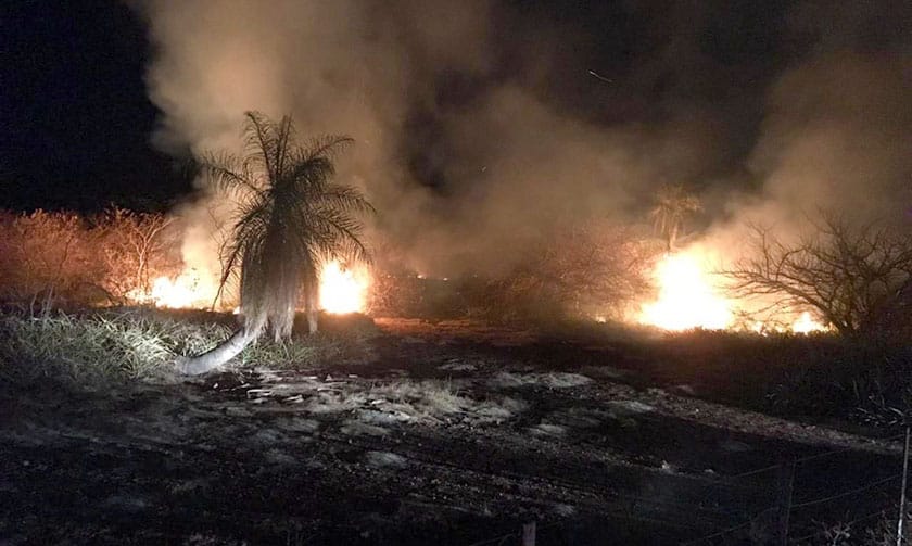 Bombeiros registram sete incêndios em vegetação: chamas chegaram próximo a fazenda e pesqueiro