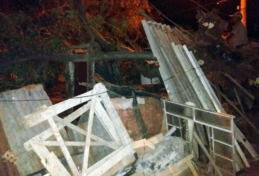 Ventania derruba árvore sobre residência no Centro América